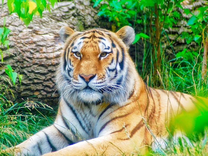 1705821041132705.jpg 24.jpg