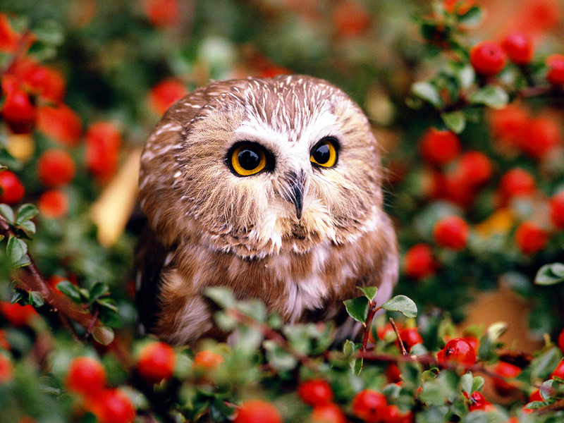 1706327876213807.jpg 01.jpg