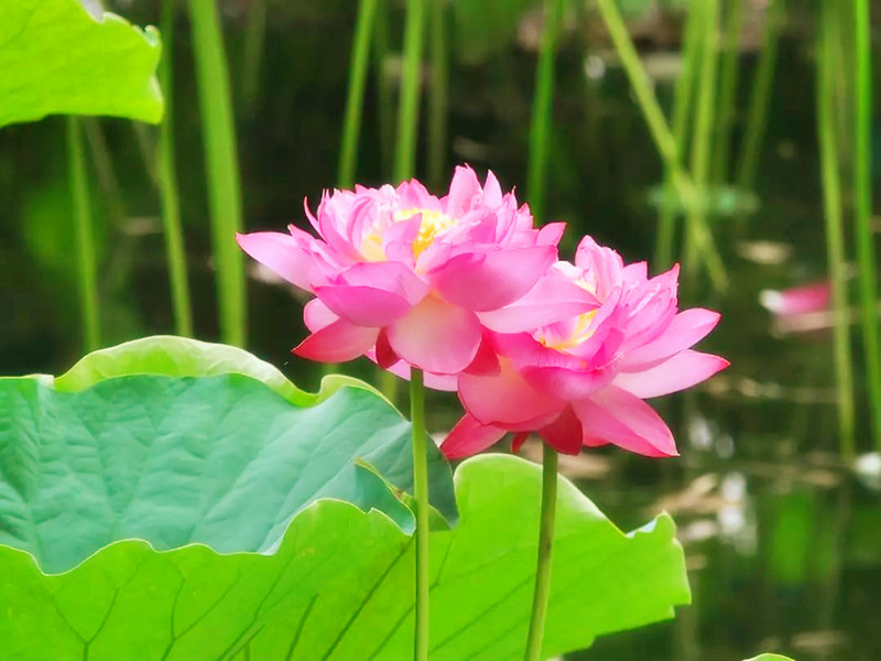 1706327928209834.jpg 04.jpg