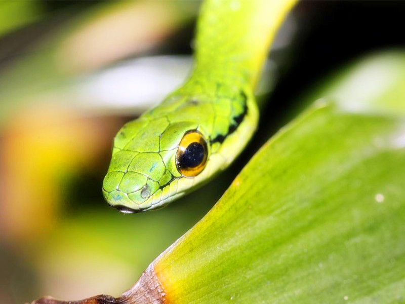 1710054569179482.jpg 8.jpg