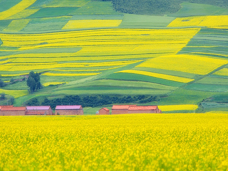 1711177966817665.jpg 13.jpg