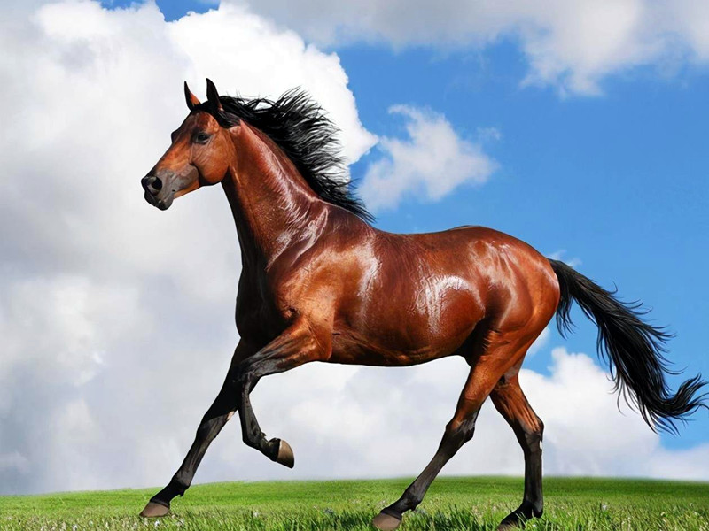 1711266400166698.jpg 1.jpg