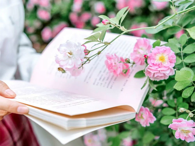 1711511507259777.jpg 02.jpg