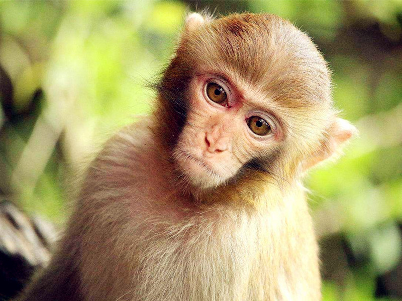 1712475812464428.jpg 4.jpg