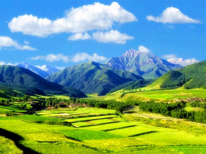 1712980382922742.jpg 01.jpg