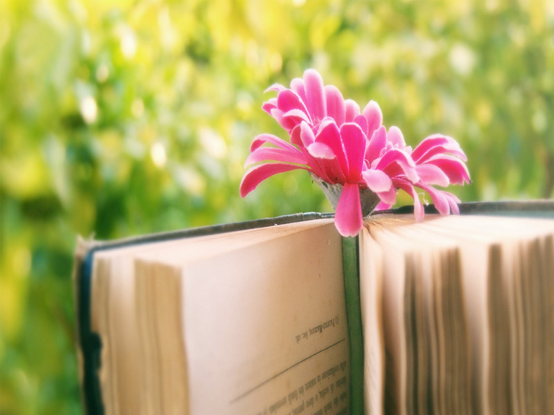 1713154454950911.jpg 01.jpg