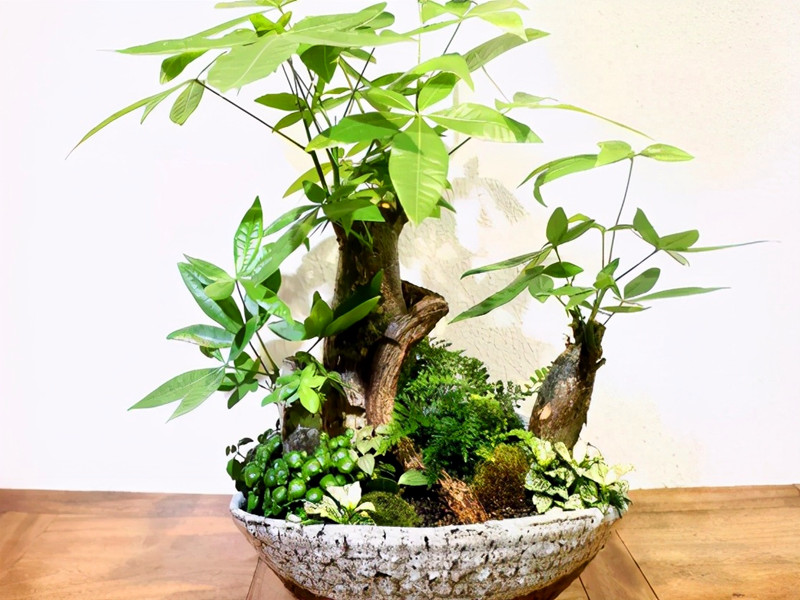 1715660398508991.jpg 03.jpg