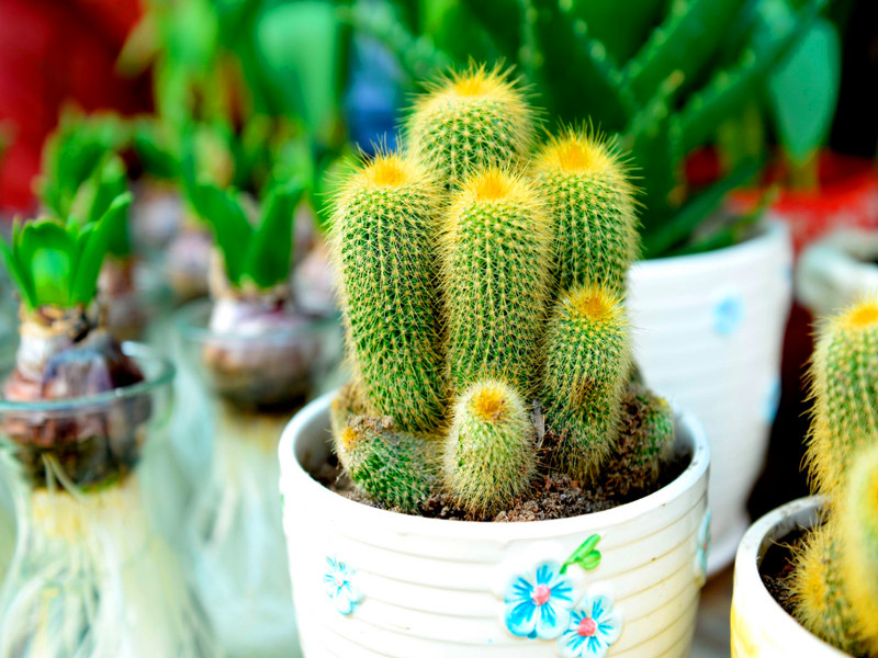 1715660419139419.jpg 02.jpg