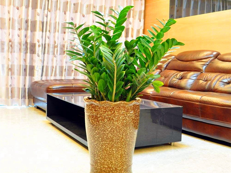 1715660439117223.jpg 01.jpg