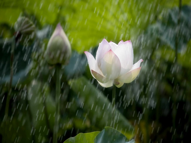 1716004218103024.jpg 02.jpg