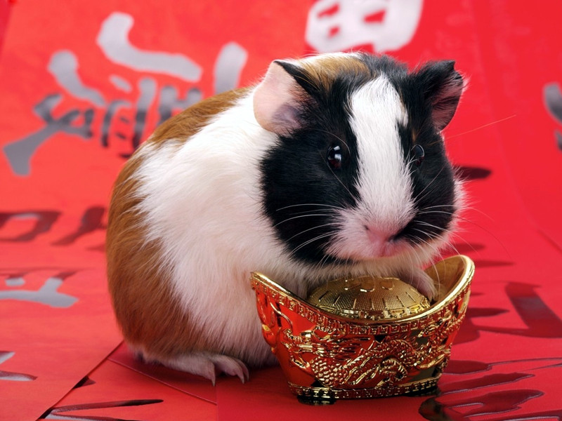 1716104369847952.jpg 72.jpg