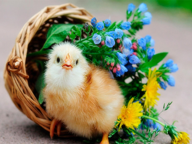 1716362580330871.jpg 77.jpg