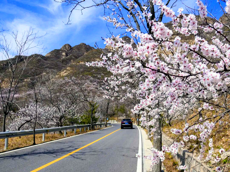 1717299369367569.jpg 01.jpg