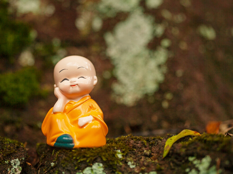 1718875786176956.jpg 13.jpg