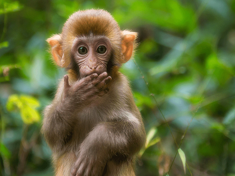 1718956042157778.jpg 15.jpg