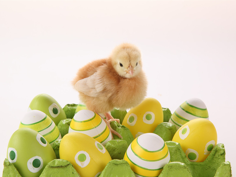 1719559613194982.jpg 27.jpg