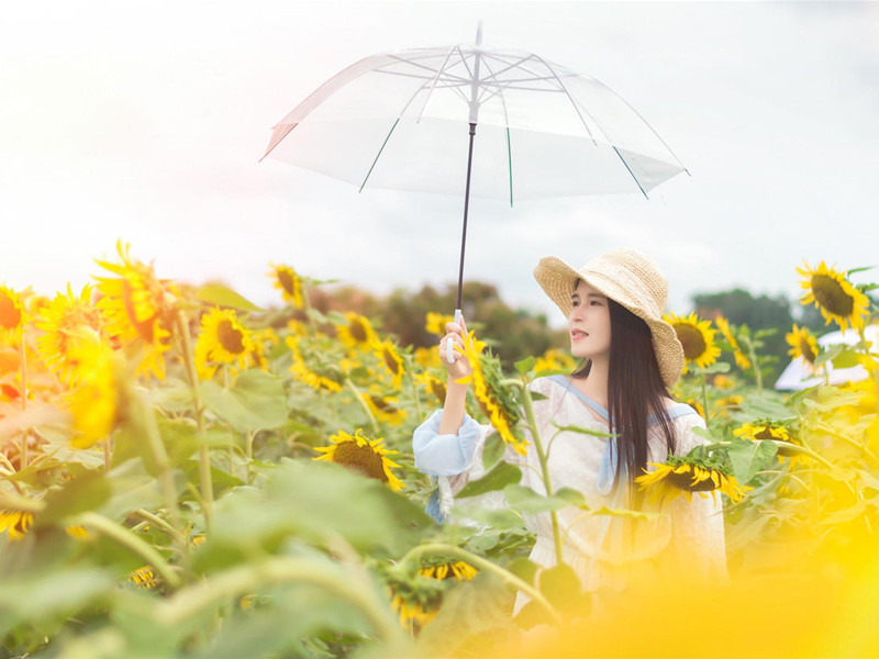 1719559630159998.jpg 26.jpg