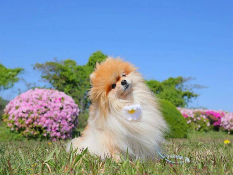 1720163607637202.jpg 41.jpg