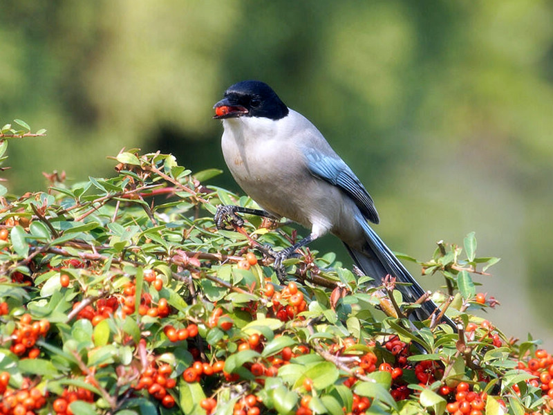 1720669339153204.jpg 01.jpg