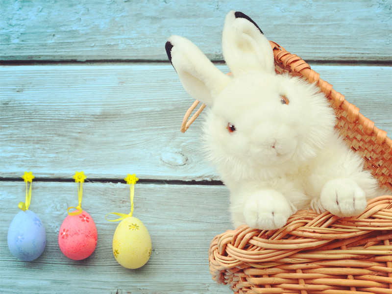 1721374169207833.jpg 70.jpg