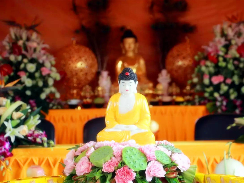 1721892932403269.jpg 82.jpg