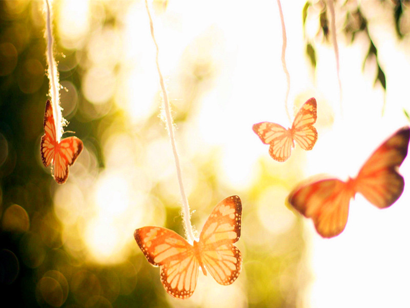 1721966660792212.jpg 01.jpg