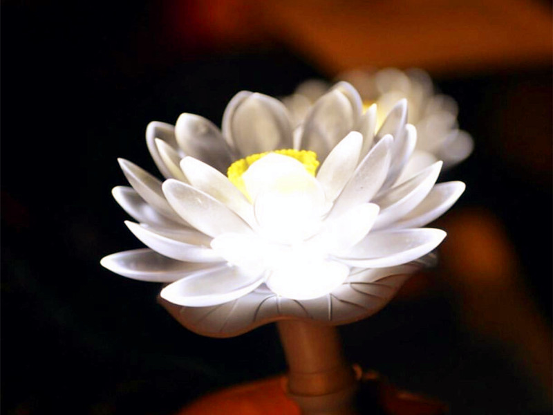 1722498884205482.jpg 94.jpg