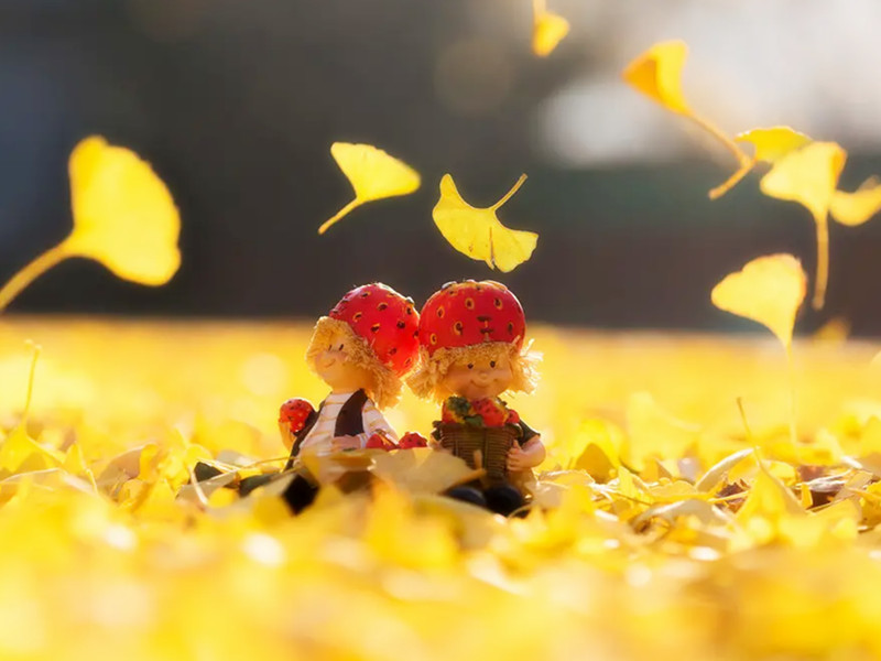 1723620985623168.jpg 20.jpg