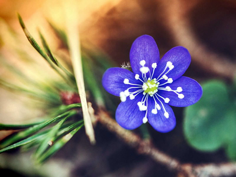 1723880640208105.jpg 23.jpg