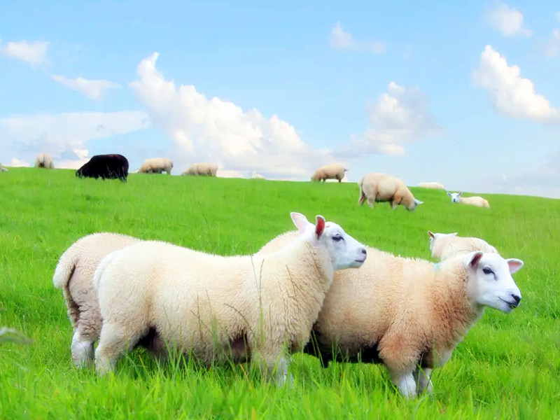 1725002379140190.jpg 46.jpg