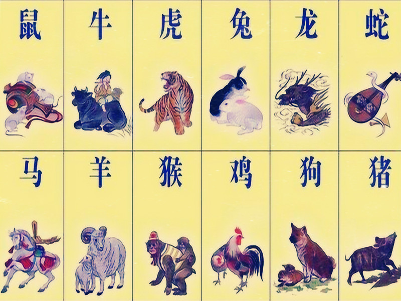 1725176212197560.jpg 50.jpg