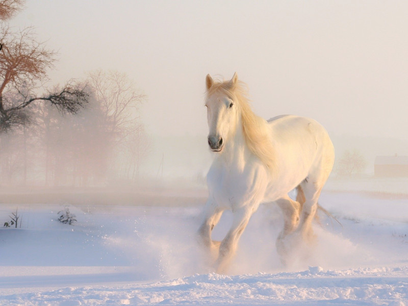 1725607213173427.jpg 61.jpg