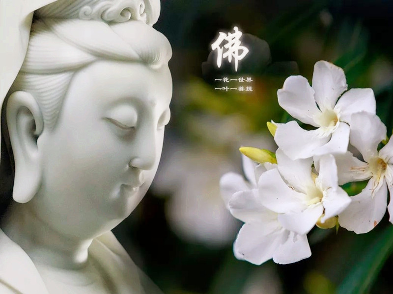 1726127280161019.jpg 70.jpg