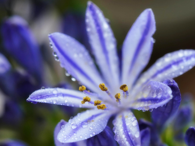 1726645700184589.jpg 82.jpg