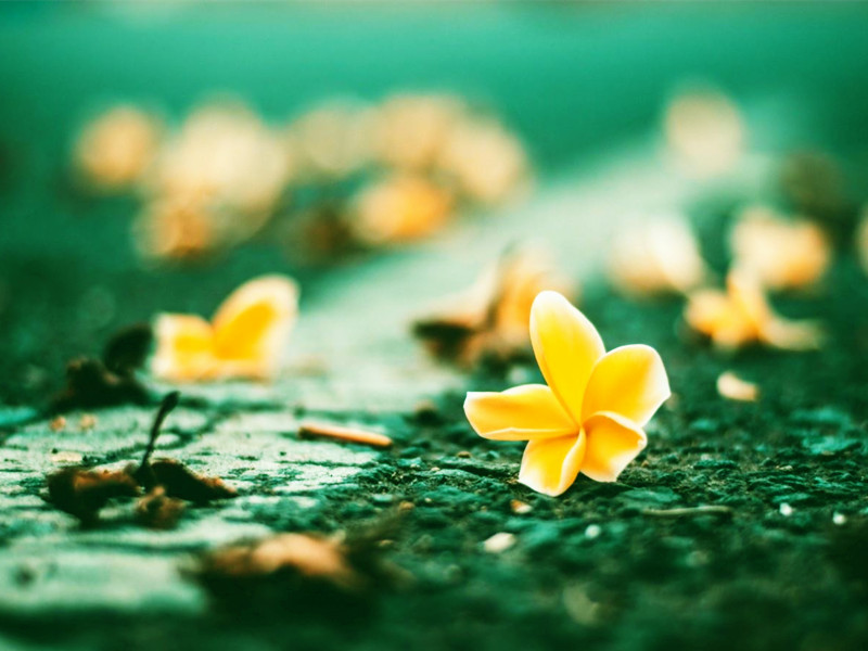 1727249765554393.jpg 98.jpg