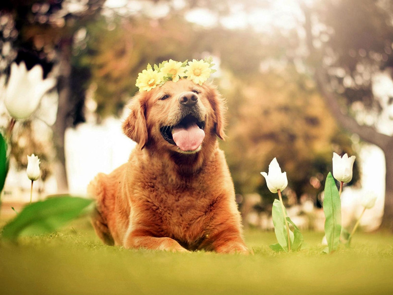 1727423977168104.jpg 100.jpg