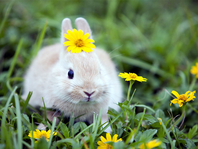 1728101693525905.jpg 01.jpg