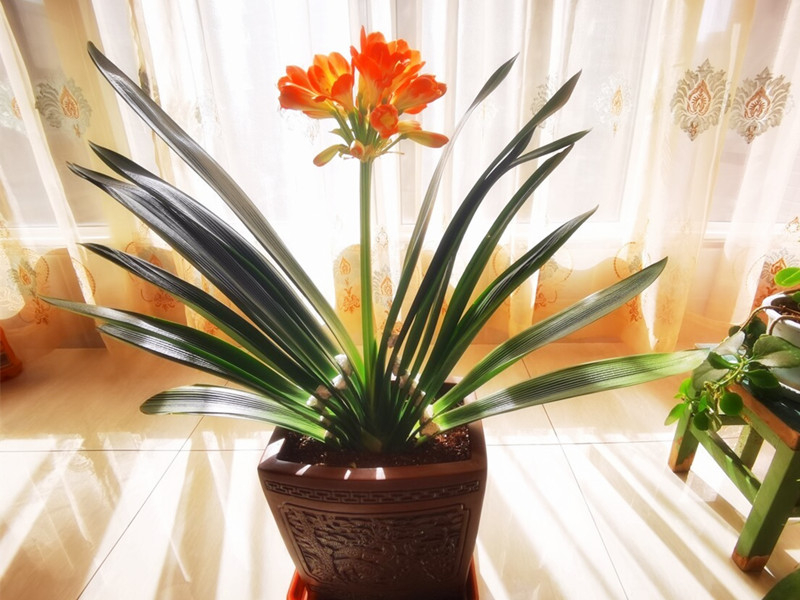 1728373837377665.jpg 12.jpg