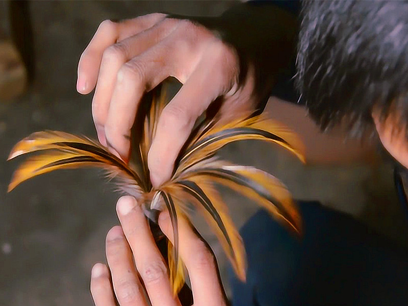 1728806559204639.jpg 20.jpg