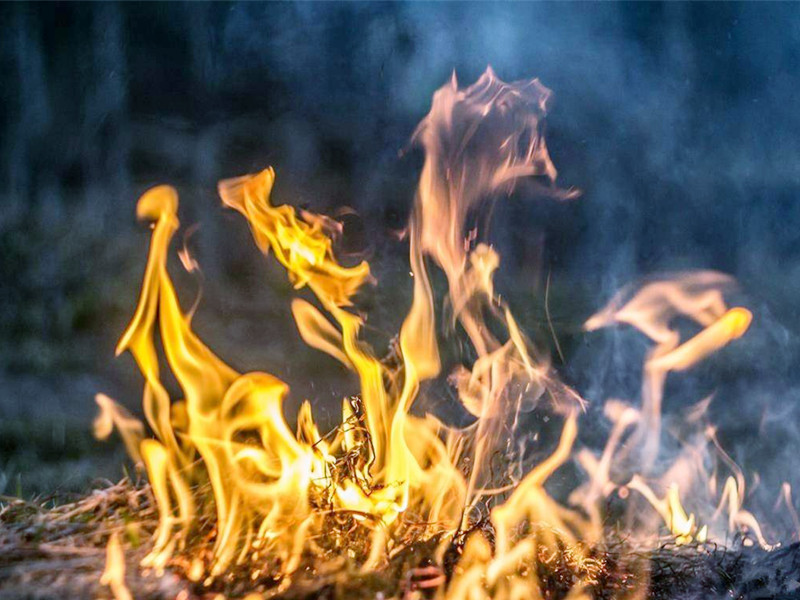 1729310017773928.jpg 03.jpg