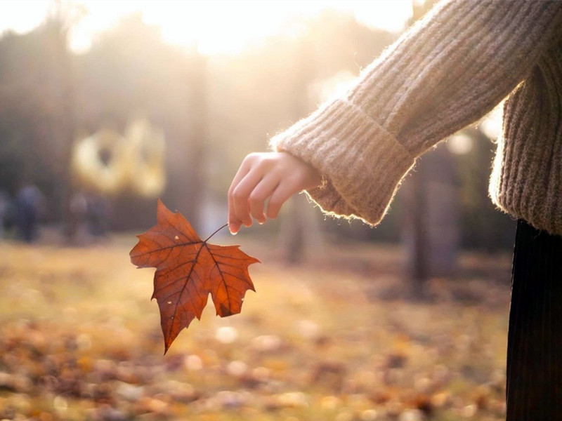 1729324302268262.jpg 33.jpg