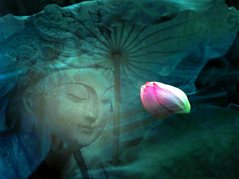 1729569956491110.jpg 01.jpg