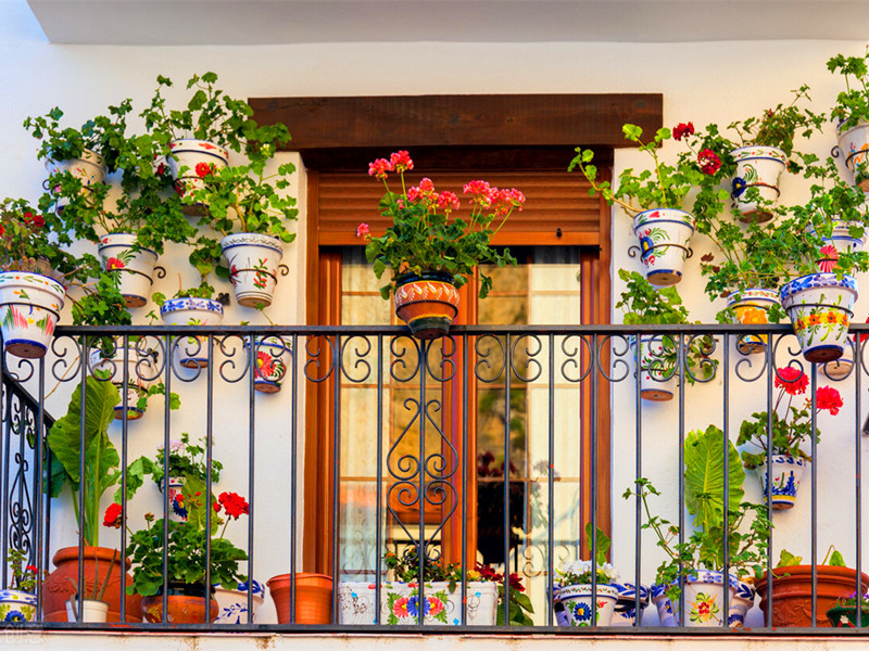 1729671079346908.jpg 38.jpg