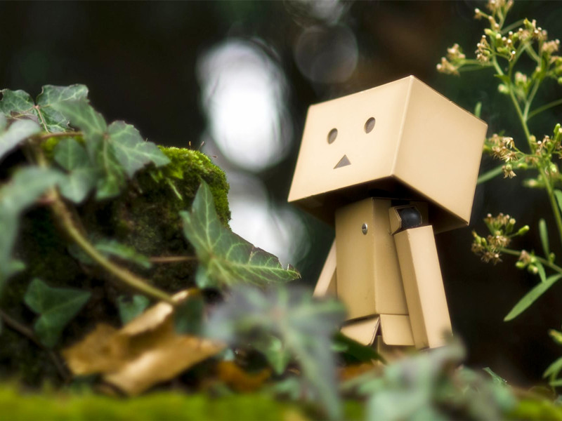 1730089889712691.jpg 00.jpg