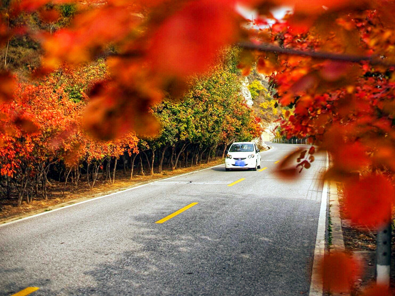 1730273195192457.jpg 50.jpg