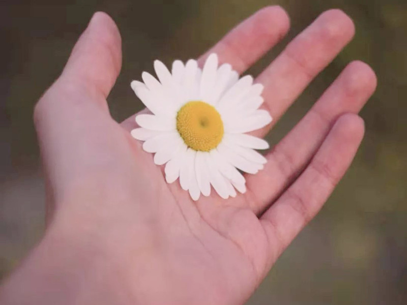 1730446998175265.jpg 54.jpg