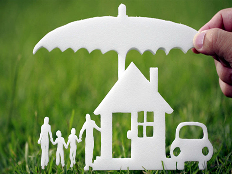 1730706352807332.jpg 58.jpg