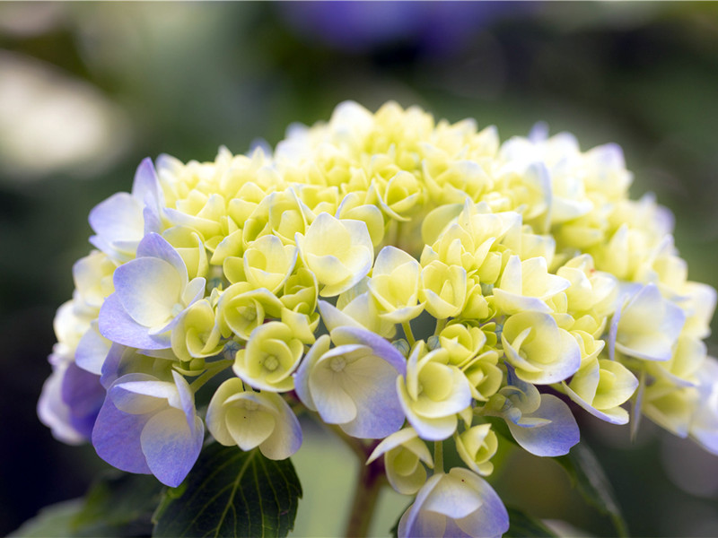 1731210994267809.jpg 01.jpg