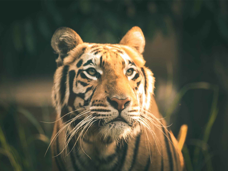 1731642805113429.jpg 02.jpg